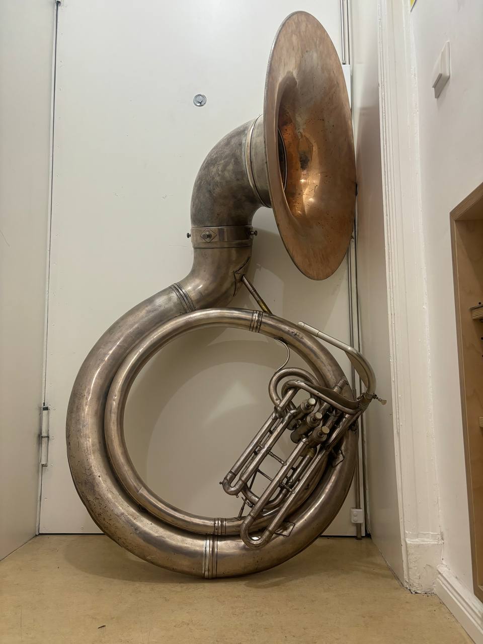 YorkSousa.jpg